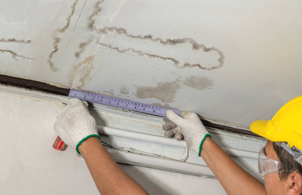 Reliable Mold Remediation contractor in Stamford, CT by Local Water Damage Repair